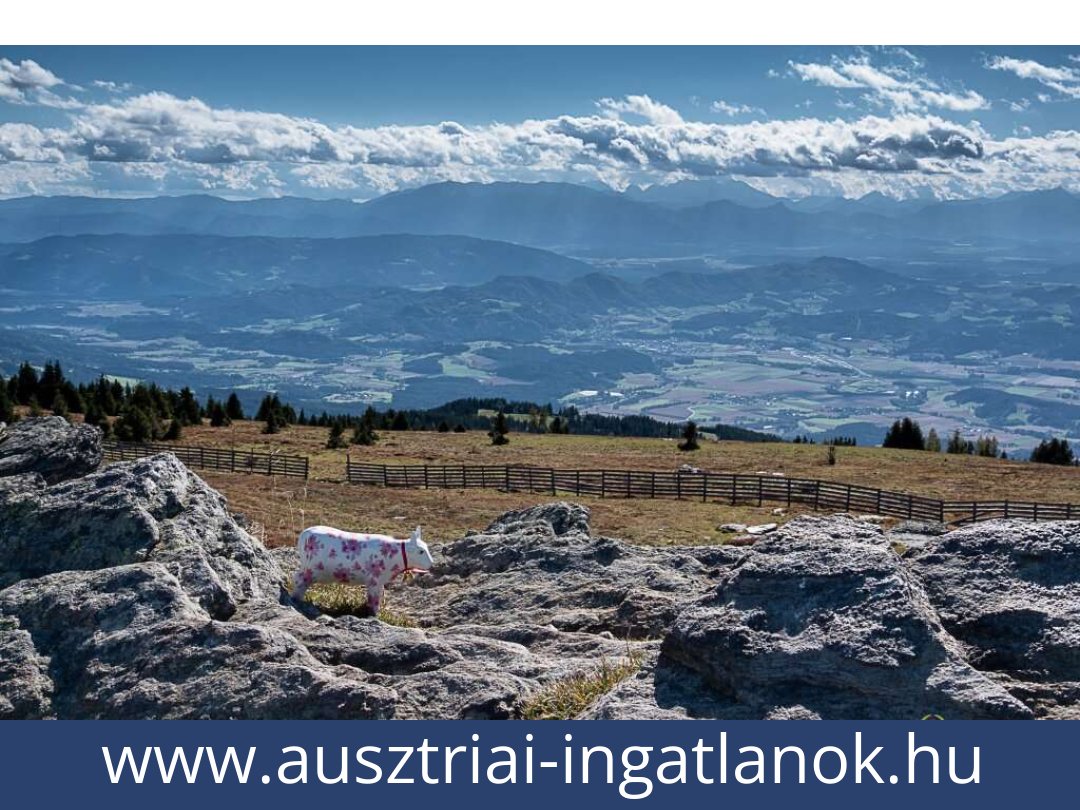 ausztriai-ingatlanok-st. gertraud-9413-20251010214100-0034901021.jpg ausztriai-ingatlanok-st. gertraud-9413-20251010214100-0034901021.jpg